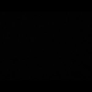 Meet your Posher, Macey